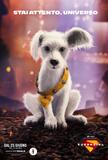 Supergirl - Poster Personaggio Puppy Bowl
