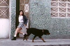 Amores Perros di Alejandro G. Iñárritu - Immagine dal set
