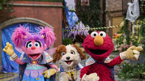 (S-D) Abby Cadabby, Tango e Elmo in Temporale a Sesame Street