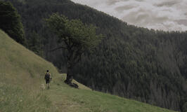 Per silenzio e vento di Marco Zuin - Immagine Ufficiale