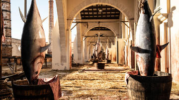 I Leoni di Sicilia 1x01 - Foto dal set