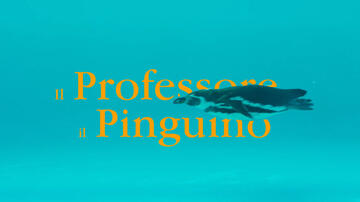Il Professore e il Pinguino, scena da trailer