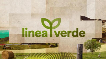 Linea Verde - Poster orizzontale 2025