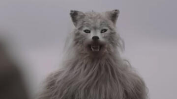 Alma & the Wolf, scena da Trailer