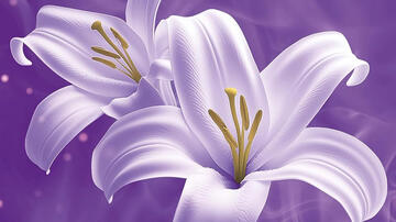 Jaded. Red Oak Manor Collection di Robin C. - Copertina libro