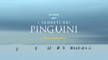 I segreti dei pinguini, scena da Trailer