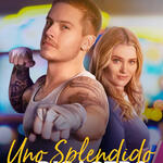 Uno splendido disastro di Roger Kumble - Poster