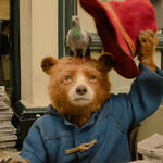 Paddington in Perù - Immagine dal set