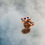 Baby Scrat in L'Era Glaciale: Punto di Ebollizione - Immagine da Trailer
