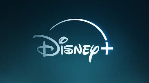 Disney+ - Poster logo orizzontale 2025